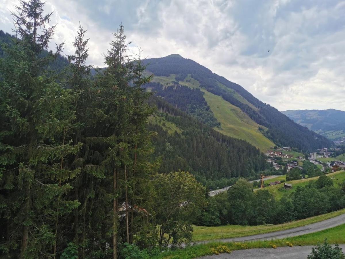 Oberzinnegg Appartement Saalbach-Hinterglemm